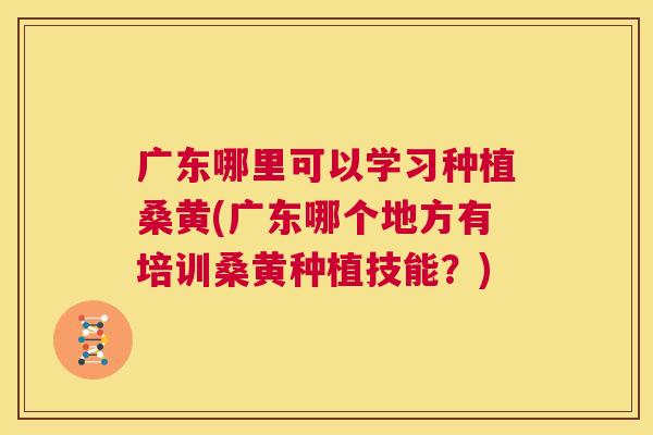 广东哪里可以学习种植桑黄(广东哪个地方有培训桑黄种植技能?) 广东哪里可以学习种植桑黄(广东哪个地方有培训桑黄种植技能?)