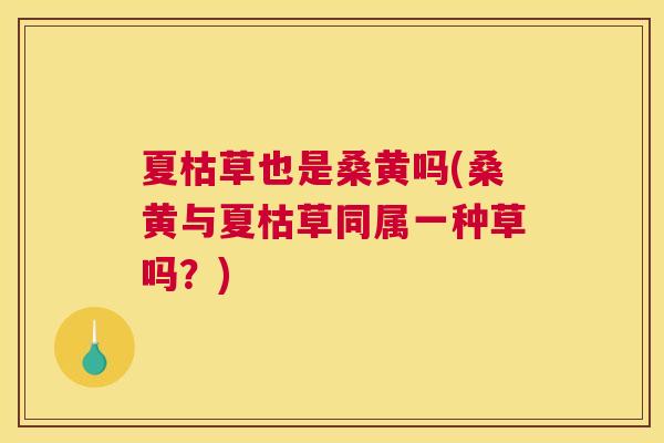 夏枯草也是桑黄吗(桑黄与夏枯草同属一种草吗?) 夏枯草也是桑黄吗(桑黄与夏枯草同属一种草吗?)