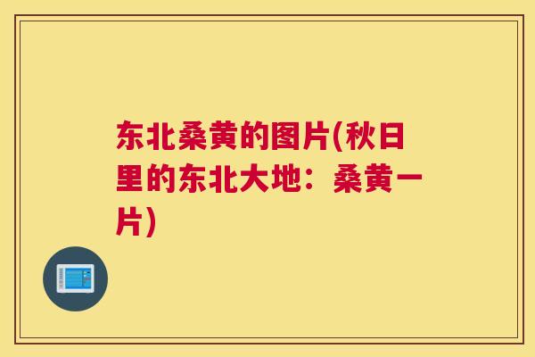 东北桑黄的图片(秋日里的东北大地:桑黄一片) 东北桑黄的图片(秋日里的东北大地:桑黄一片)