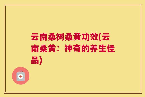 云南桑树桑黄功效(云南桑黄:神奇的养生佳品) 云南桑树桑黄功效(云南桑黄:神奇的养生佳品)