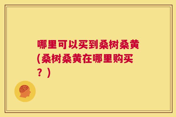 哪里可以买到桑树桑黄(桑树桑黄在哪里购买?) 哪里可以买到桑树桑黄(桑树桑黄在哪里购买?)
