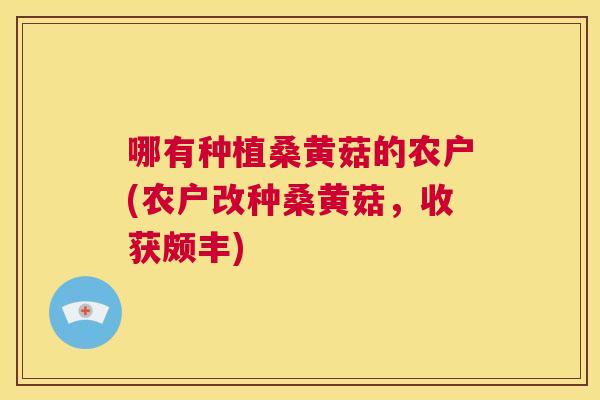 哪有种植桑黄菇的农户(农户改种桑黄菇,收获颇丰) 哪有种植桑黄菇的农户(农户改种桑黄菇,收获颇丰)