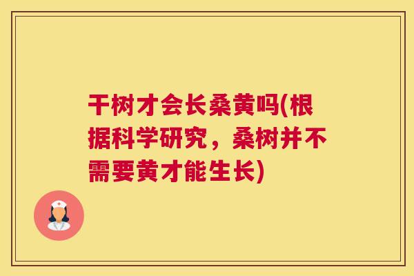 干树才会长桑黄吗(根据科学研究,桑树并不需要黄才能生长) 干树才会长桑黄吗(根据科学研究,桑树并不需要黄才能生长)
