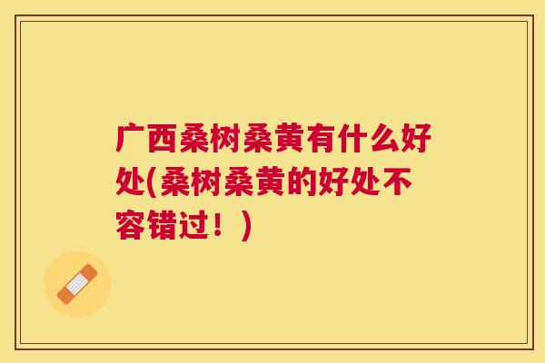 广西桑树桑黄有什么好处(桑树桑黄的好处不容错过!) 广西桑树桑黄有什么好处(桑树桑黄的好处不容错过!)