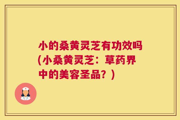 小的桑黄灵芝有功效吗(小桑黄灵芝:草药界中的美容圣品?) 小的桑黄灵芝有功效吗(小桑黄灵芝:草药界中的美容圣品?)