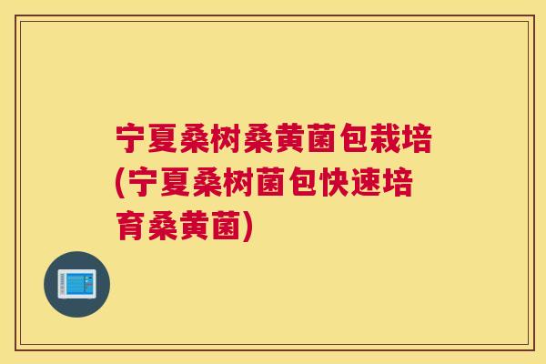 宁夏桑树桑黄菌包栽培(宁夏桑树菌包快速培育桑黄菌) 宁夏桑树桑黄菌包栽培(宁夏桑树菌包快速培育桑黄菌)