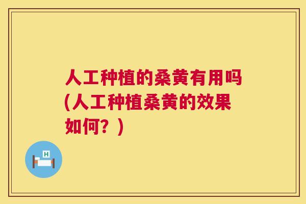人工种植的桑黄有用吗(人工种植桑黄的效果如何?) 人工种植的桑黄有用吗(人工种植桑黄的效果如何?)