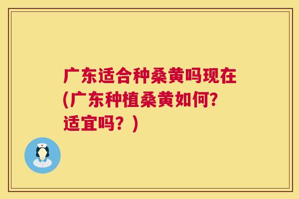 广东适合种桑黄吗现在(广东种植桑黄如何?适宜吗?) 广东适合种桑黄吗现在(广东种植桑黄如何?适宜吗?)