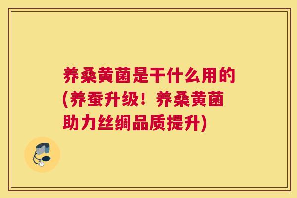 养桑黄菌是干什么用的(养蚕升级!养桑黄菌助力丝绸品质提升) 养桑黄菌是干什么用的(养蚕升级!养桑黄菌助力丝绸品质提升)