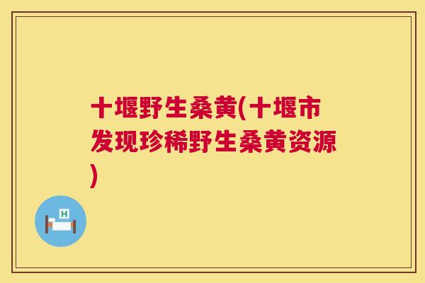 十堰野生桑黄(十堰市发现珍稀野生桑黄资源) 十堰野生桑黄(十堰市发现珍稀野生桑黄资源)