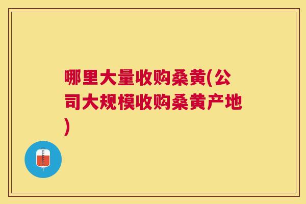 哪里大量收购桑黄(公司大规模收购桑黄产地) 哪里大量收购桑黄(公司大规模收购桑黄产地)