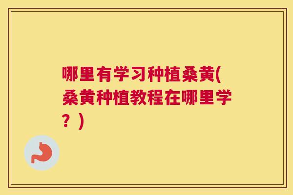 哪里有学习种植桑黄(桑黄种植教程在哪里学?) 哪里有学习种植桑黄(桑黄种植教程在哪里学?)