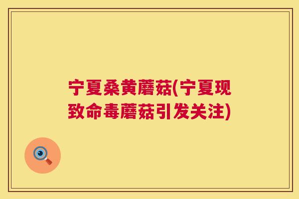宁夏桑黄蘑菇(宁夏现致命毒蘑菇引发关注) 宁夏桑黄蘑菇(宁夏现致命毒蘑菇引发关注)