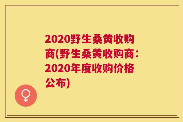 2020野生桑黄收购商(野生桑黄收购商:2020年度收购价格公布) 2020野生桑黄收购商(野生桑黄收购商:2020年度收购价格公布)