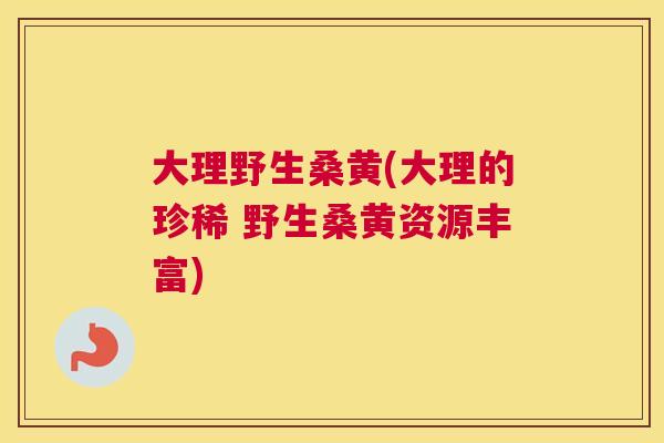 大理野生桑黄(大理的珍稀 野生桑黄资源丰富) 大理野生桑黄(大理的珍稀 野生桑黄资源丰富)