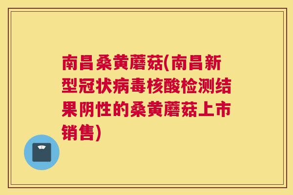 南昌桑黄蘑菇(南昌新型冠状核酸检测结果阴性的桑黄蘑菇上市销售) 南昌桑黄蘑菇(南昌新型冠状核酸检测结果阴性的桑黄蘑菇上市销售)