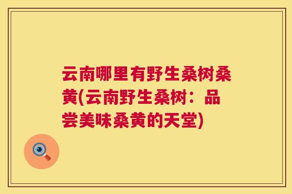 云南哪里有野生桑树桑黄(云南野生桑树:品尝美味桑黄的天堂) 云南哪里有野生桑树桑黄(云南野生桑树:品尝美味桑黄的天堂)