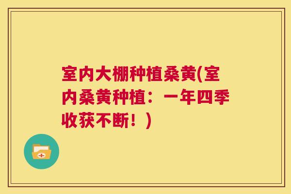 室内大棚种植桑黄(室内桑黄种植:一年四季收获不断!) 室内大棚种植桑黄(室内桑黄种植:一年四季收获不断!)