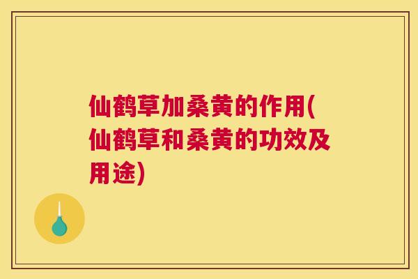 仙鹤草加桑黄的作用(仙鹤草和桑黄的功效及用途) 仙鹤草加桑黄的作用(仙鹤草和桑黄的功效及用途)