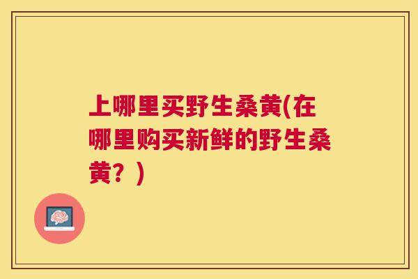 上哪里买野生桑黄(在哪里购买新鲜的野生桑黄?) 上哪里买野生桑黄(在哪里购买新鲜的野生桑黄?)