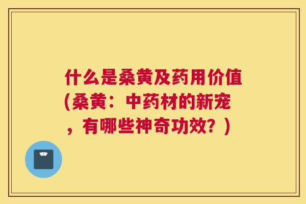 什么是桑黄及药用价值(桑黄:材的新宠,有哪些神奇功效?) 什么是桑黄及药用价值(桑黄:材的新宠,有哪些神奇功效?)
