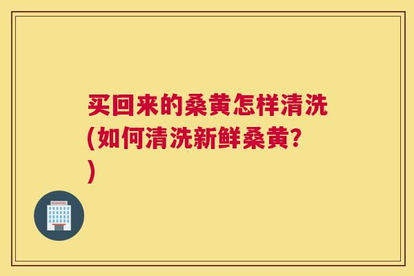 买回来的桑黄怎样清洗(如何清洗新鲜桑黄?) 买回来的桑黄怎样清洗(如何清洗新鲜桑黄?)