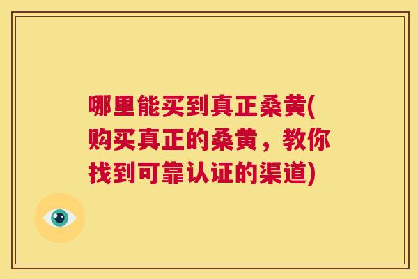 哪里能买到真正桑黄(购买真正的桑黄，教你找到可靠认证的渠道)