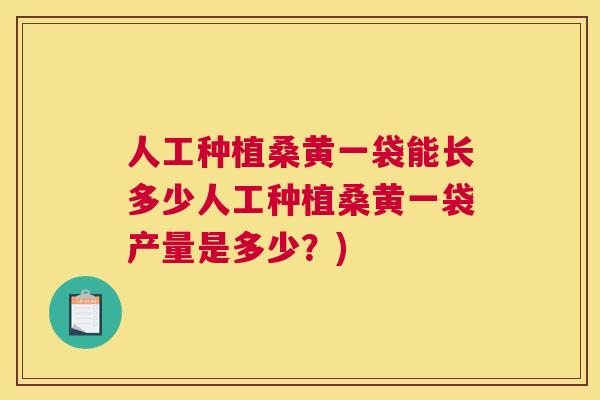 人工种植桑黄一袋能长多少人工种植桑黄一袋产量是多少？)