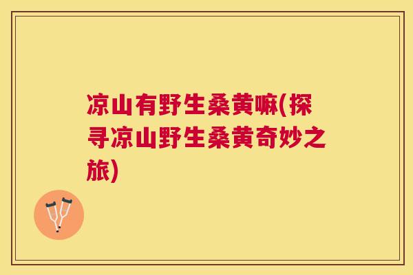 凉山有野生桑黄嘛(探寻凉山野生桑黄奇妙之旅) 凉山有野生桑黄嘛(探寻凉山野生桑黄奇妙之旅)