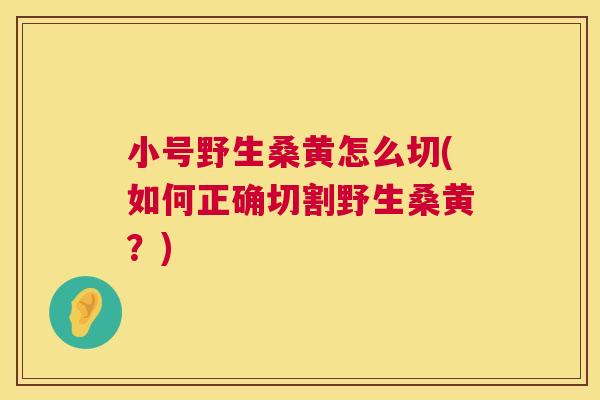 小号野生桑黄怎么切(如何正确切割野生桑黄?) 小号野生桑黄怎么切(如何正确切割野生桑黄?)