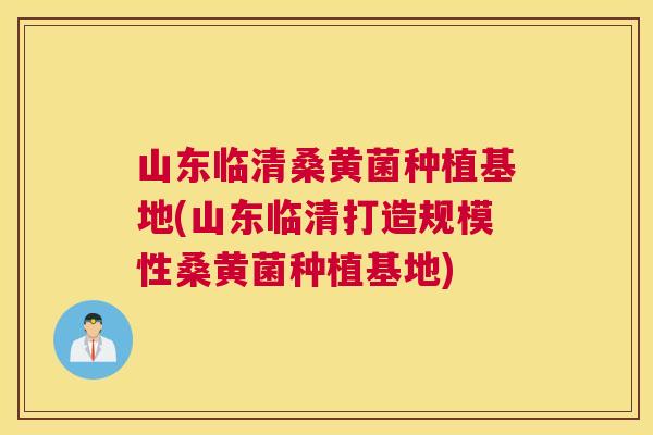 山东临清桑黄菌种植基地(山东临清打造规模性桑黄菌种植基地)