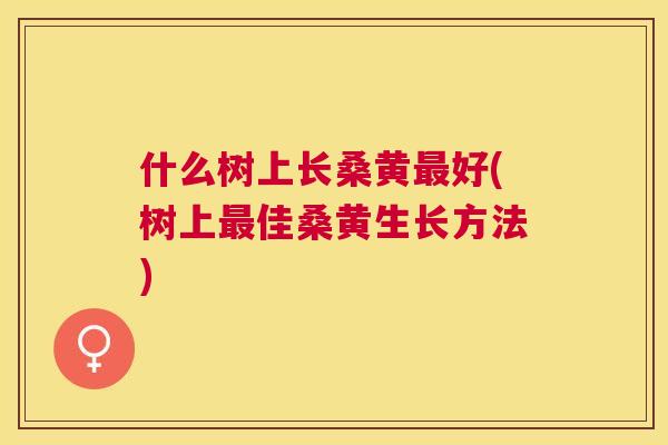 什么树上长桑黄好(树上佳桑黄生长方法) 什么树上长桑黄好(树上佳桑黄生长方法)