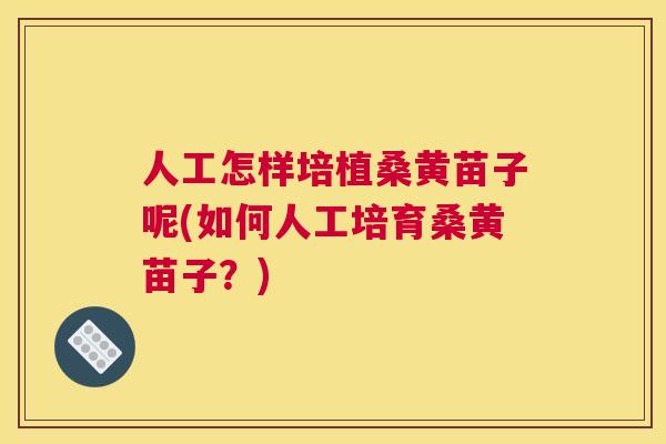 人工怎样培植桑黄苗子呢(如何人工培育桑黄苗子?) 人工怎样培植桑黄苗子呢(如何人工培育桑黄苗子?)