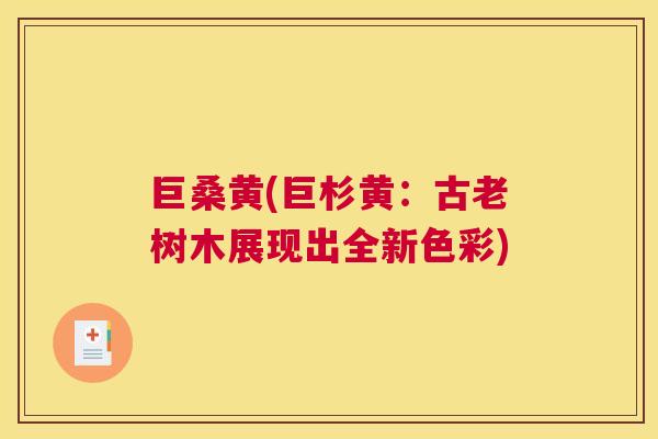 巨桑黄(巨杉黄:古老树木展现出全新色彩) 巨桑黄(巨杉黄:古老树木展现出全新色彩)