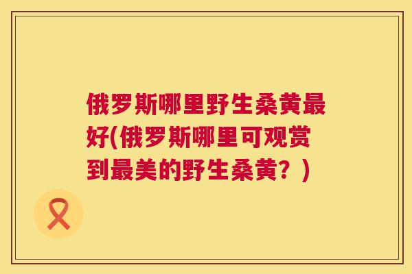 俄罗斯哪里野生桑黄好(俄罗斯哪里可观赏到美的野生桑黄?) 俄罗斯哪里野生桑黄好(俄罗斯哪里可观赏到美的野生桑黄?)