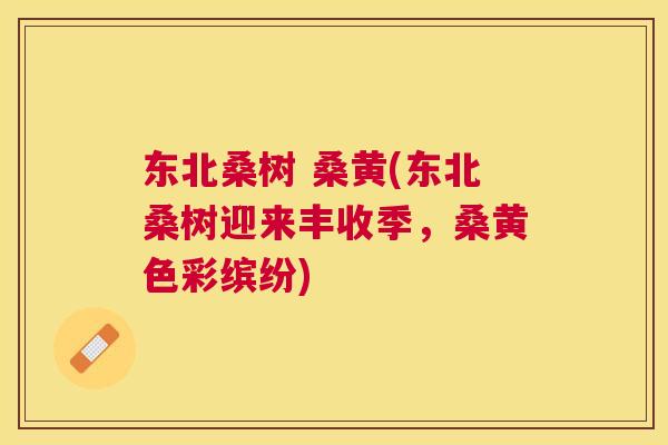 东北桑树 桑黄(东北桑树迎来丰收季,桑黄色彩缤纷) 东北桑树 桑黄(东北桑树迎来丰收季,桑黄色彩缤纷)