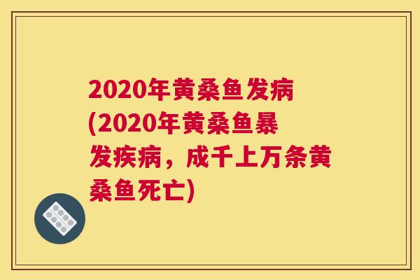 2020年黄桑鱼发(2020年黄桑鱼暴发,成千上万条黄桑鱼死亡) 2020年黄桑鱼发(2020年黄桑鱼暴发,成千上万条黄桑鱼死亡)