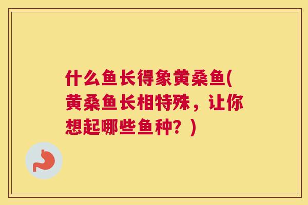 什么鱼长得象黄桑鱼(黄桑鱼长相特殊,让你想起哪些鱼种?) 什么鱼长得象黄桑鱼(黄桑鱼长相特殊,让你想起哪些鱼种?)
