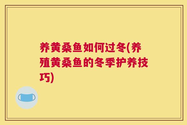 养黄桑鱼如何过冬(养殖黄桑鱼的冬季护养技巧) 养黄桑鱼如何过冬(养殖黄桑鱼的冬季护养技巧)