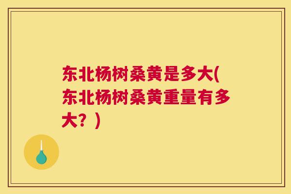 东北杨树桑黄是多大(东北杨树桑黄重量有多大?) 东北杨树桑黄是多大(东北杨树桑黄重量有多大?)