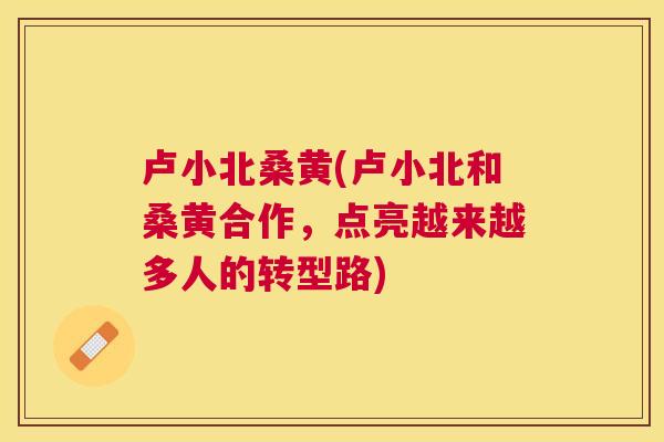 卢小北桑黄(卢小北和桑黄合作,点亮越来越多人的转型路) 卢小北桑黄(卢小北和桑黄合作,点亮越来越多人的转型路)