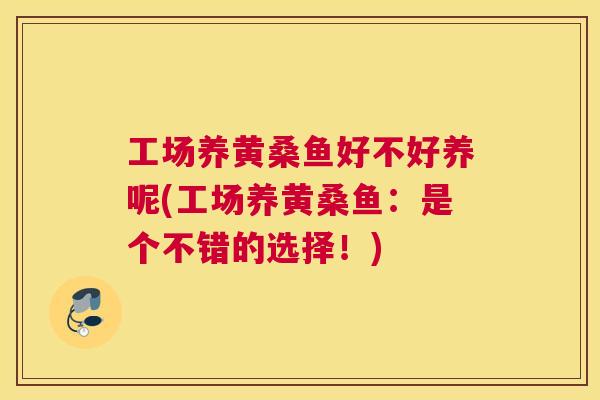 工场养黄桑鱼好不好养呢(工场养黄桑鱼:是个不错的选择!) 工场养黄桑鱼好不好养呢(工场养黄桑鱼:是个不错的选择!)