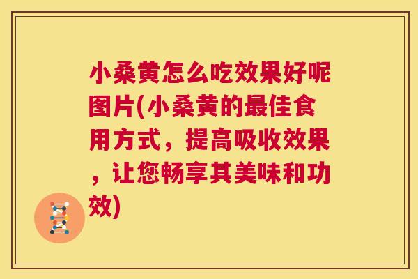 小桑黄怎么吃效果好呢图片(小桑黄的佳食用方式,提高吸收效果,让您畅享其美味和功效) 小桑黄怎么吃效果好呢图片(小桑黄的佳食用方式,提高吸收效果,让您畅享其美味和功效)