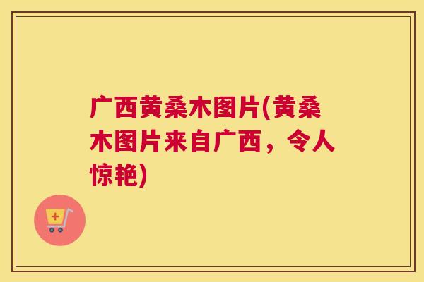 广西黄桑木图片(黄桑木图片来自广西，令人惊艳)