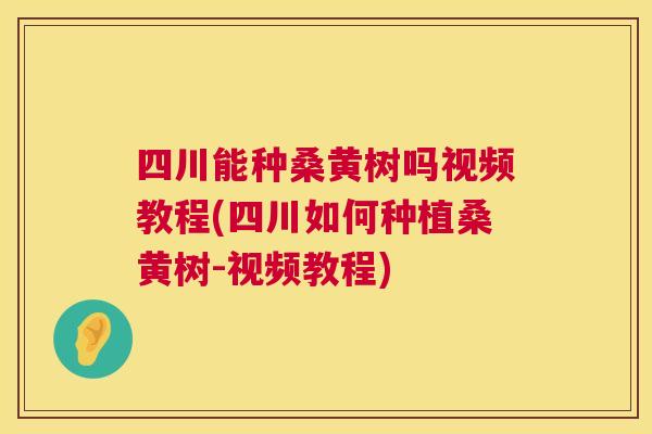 四川能种桑黄树吗视频教程(四川如何种植桑黄树-视频教程) 四川能种桑黄树吗视频教程(四川如何种植桑黄树-视频教程)