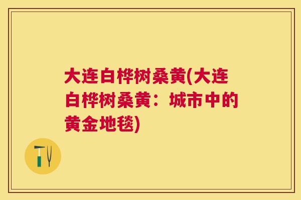 大连白桦树桑黄(大连白桦树桑黄:城市中的黄金地毯) 大连白桦树桑黄(大连白桦树桑黄:城市中的黄金地毯)