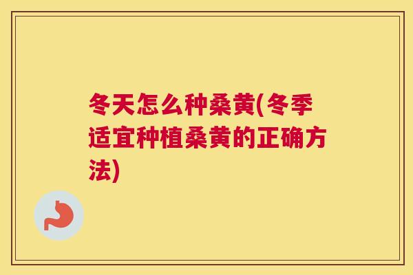 冬天怎么种桑黄(冬季适宜种植桑黄的正确方法)