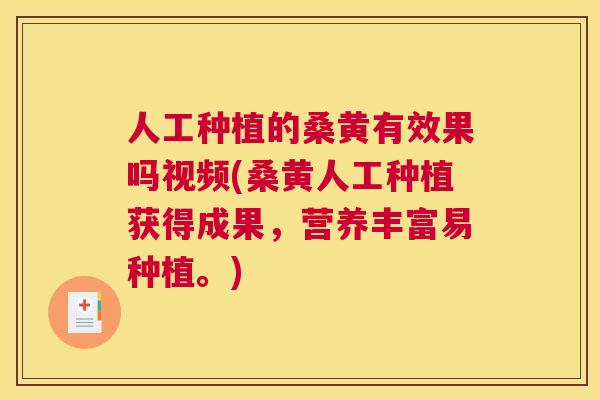 人工种植的桑黄有效果吗视频(桑黄人工种植获得成果,营养丰富易种植。) 人工种植的桑黄有效果吗视频(桑黄人工种植获得成果,营养丰富易种植。)