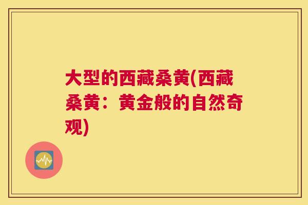 大型的西藏桑黄(西藏桑黄:黄金般的自然奇观) 大型的西藏桑黄(西藏桑黄:黄金般的自然奇观)