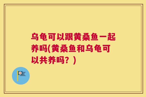 乌龟可以跟黄桑鱼一起养吗(黄桑鱼和乌龟可以共养吗?) 乌龟可以跟黄桑鱼一起养吗(黄桑鱼和乌龟可以共养吗?)
